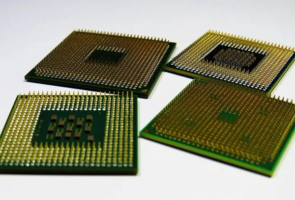 Monte Microprocessadores Diferentes Para Computador Uma Superfície Branca — Fotografia de Stock