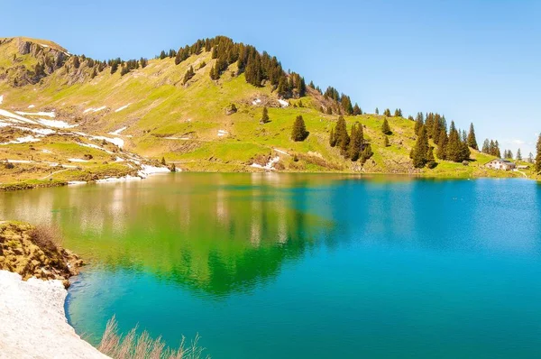 Montagne Gli Alberi Svizzera Circondati Dal Lago Lac Lioson — Foto Stock