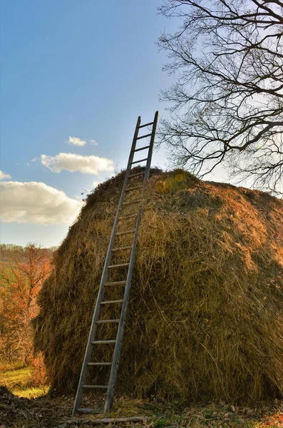 Een Verticaal Schot Van Een Ladder Door Een Hooiberg Nabij — Stockfoto