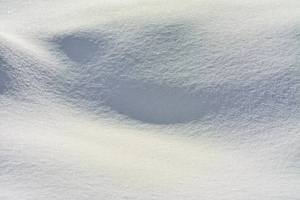 Зимовий Пейзаж Сніговими Дюнами Гірському Лісі — стокове фото