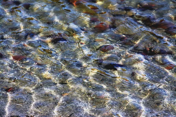 Disparo Clausura Las Rocas Arena Bajo Agua — Foto de Stock