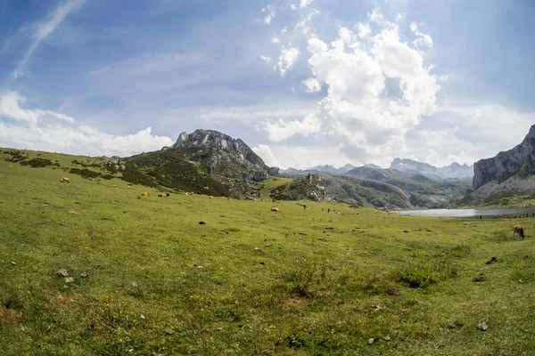 Plan Couper Souffle Parc National Picos Europa Capturé Espagne — Photo