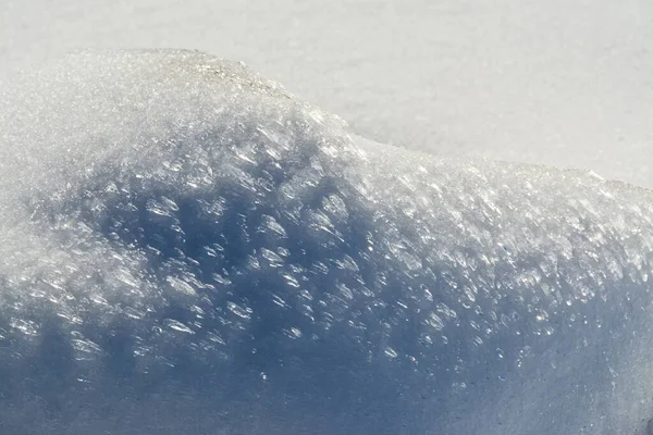 Μια Μακροεντολή Εικόνα Του Αμμόλοφου Χιονιού Κάτω Από Φως Του — Φωτογραφία Αρχείου