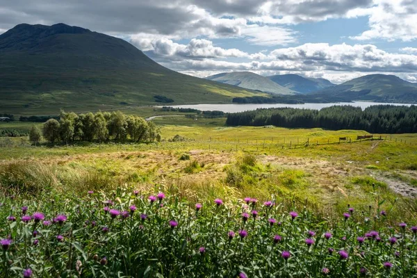 Lac Loch Tulla Écosse Royaume Uni Entouré Prairies Verdoyantes Montagnes — Photo