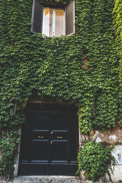 Vertical Shot Green Covered Stone House Small Window Black Door — Stock Photo, Image