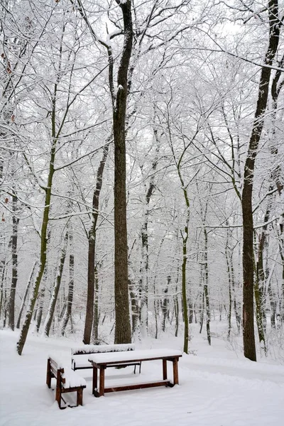 Vertikal Bild Träbänkar Och Ett Bord Skogen Täckt Med Snö — Stockfoto