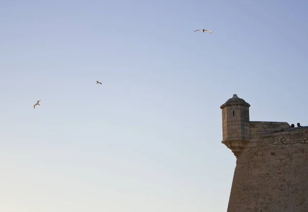 Ένα Πλάνο Ενός Κτιρίου Ένα Γκρεμό Πουλιά Στον Ουρανό — Φωτογραφία Αρχείου