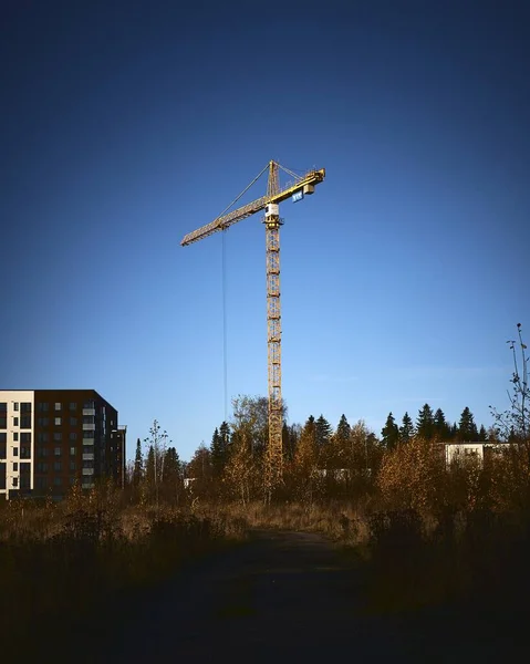 Colpo Verticale Una Gru Nel Parco Sotto Cielo Blu — Foto Stock