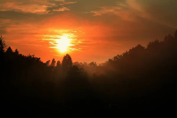 Céu Laranja Durante Pôr Sol Sobre Floresta — Fotografia de Stock