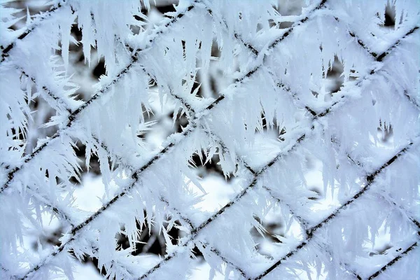 Närbild Järnnätet Stängsel Täckt Med Snö — Stockfoto