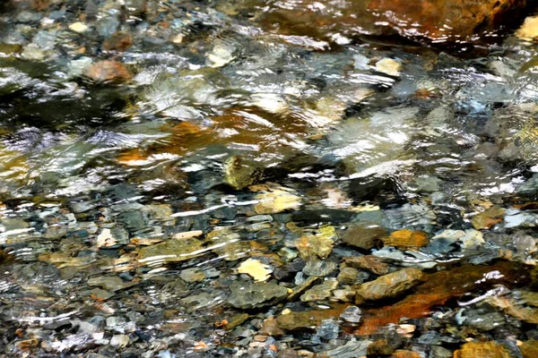 Altındaki Kayaların Görülebildiği Temiz Bir Nehir Manzarası — Stok fotoğraf
