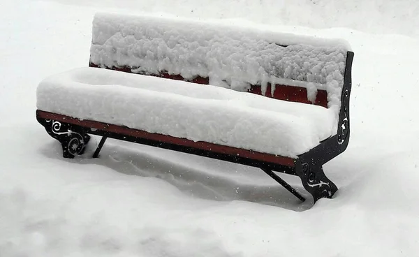 Ένα Πλάνο Από Μια Καρέκλα Γεμάτη Χιόνι — Φωτογραφία Αρχείου