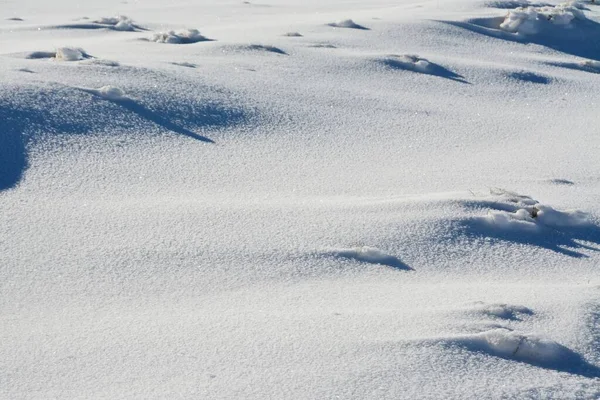 Tiro Perto Campo Coberto Neve — Fotografia de Stock