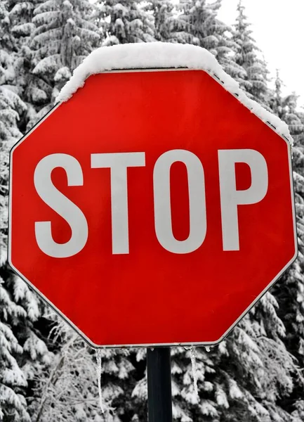 Вертикальный Крупный План Красного Снежного Знака Стоп Против Перьев — стоковое фото