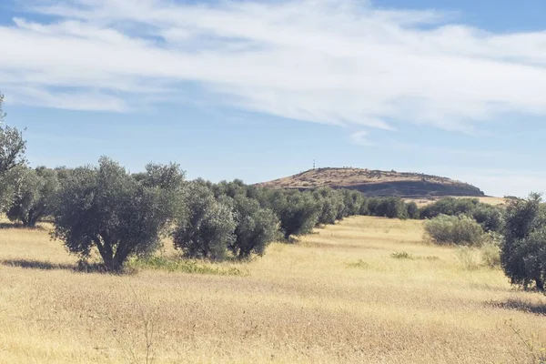 Una Foto Fascinante Del Hermoso Paisaje Natural Contra Cielo Nublado — Foto de Stock