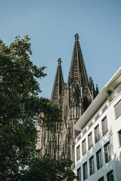 Köln Almanya Daki Köln Katedrali Nin Dikey Çekimi — Stok fotoğraf