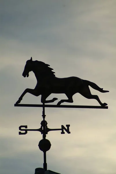 日没の空に対して設定された馬の気象ベーンの垂直接近ショット — ストック写真
