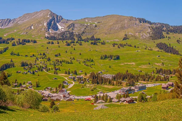 Los Árboles Las Montañas Los Alpes Swizz Suiza —  Fotos de Stock