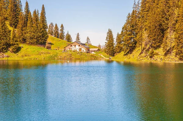 Gli Alberi Sulle Montagne Circondati Dal Lago Lac Lioson Svizzera — Foto Stock