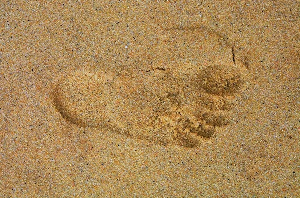 Een Bovenaanzicht Van Voetafdruk Het Zand — Stockfoto
