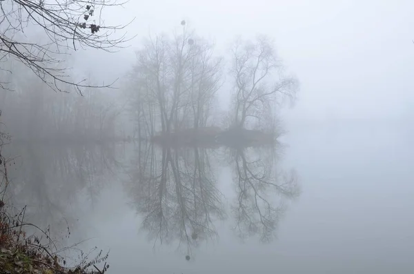 Foco Seletivo Lago Assustador Misty Cercado Por Árvores Ótimo Para — Fotografia de Stock