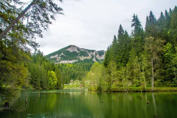 Lago Rosso Romania Una Giornata Nuvolosa — Foto Stock