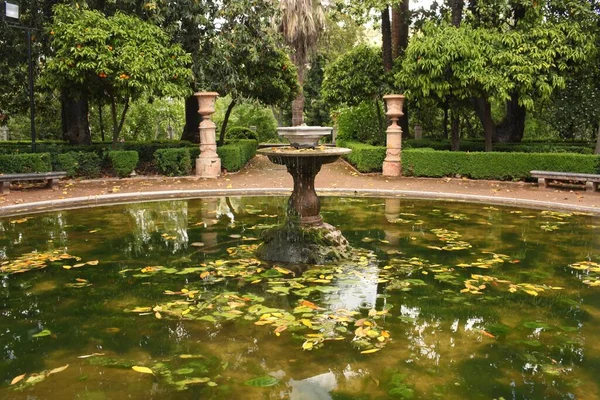 Una Hermosa Vista Del Estanque Fuente Parque Real Alcázar Granada —  Fotos de Stock