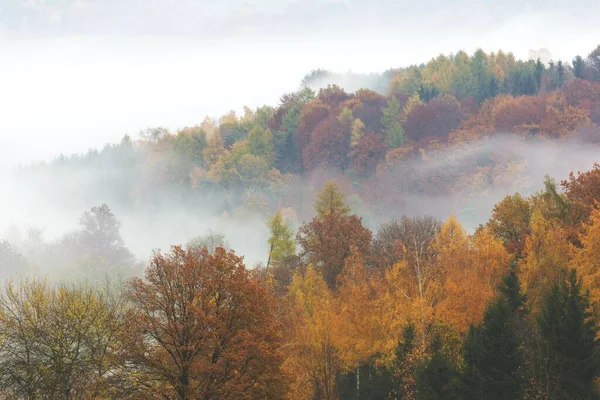 Uma Bela Paisagem Floresta Outono Com Árvores Coloridas Entre Nuvens — Fotografia de Stock