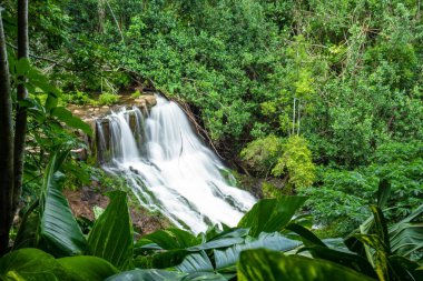 A beautiful scenery of Hoopii Falls in a forest surrounded by greenery in Kauai, Hawaii clipart
