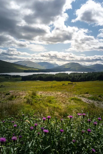 英国苏格兰的Loch Tulla湖 四周环绕着绿色的草地和山脉 — 图库照片