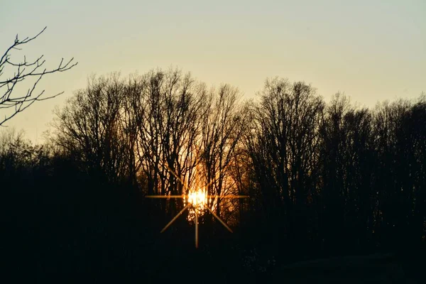 Der Blick Auf Den Schönen Sonnenuntergang Durch Die Äste Der — Stockfoto