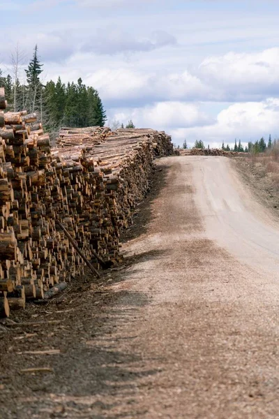 Eine Vertikale Aufnahme Eines Riesigen Holzstapels Aus Dem Wald — Stockfoto