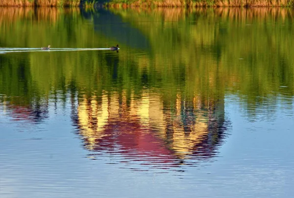 Отражение Дома Озере Солнечным Светом — стоковое фото