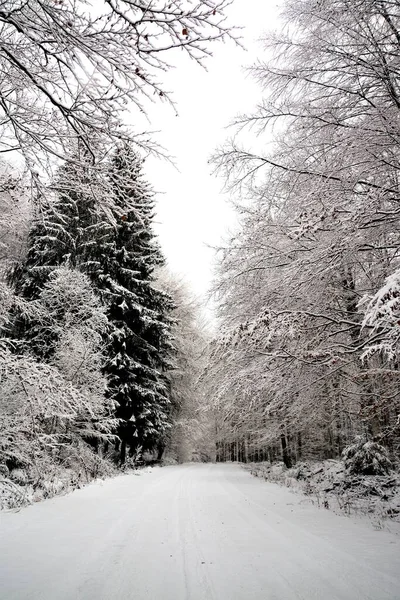 Uma Estrada Através Uma Floresta Coberta Neve Inverno — Fotografia de Stock