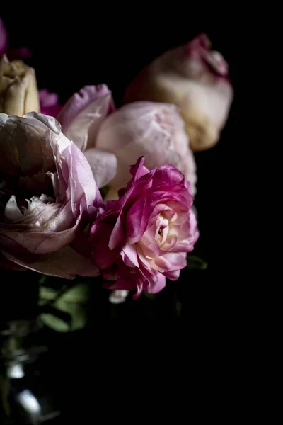 Plano Vertical Varias Rosas Rosadas Blancas Oscuridad —  Fotos de Stock