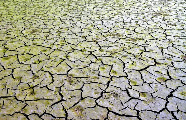 Retak Bumi Setelah Mengeringkan Danau — Stok Foto