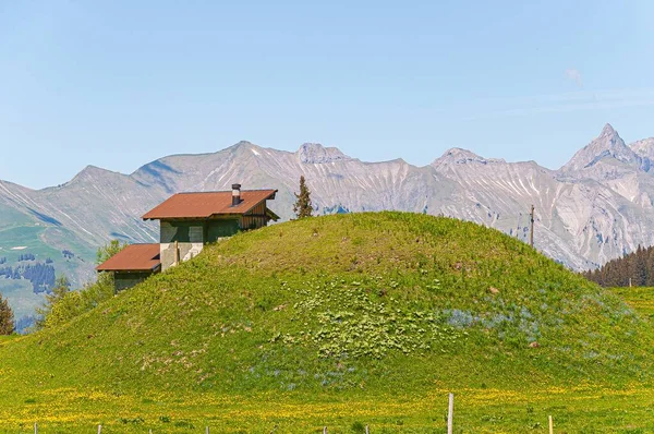 スイスのアルプスの草に覆われた山の上の家 — ストック写真