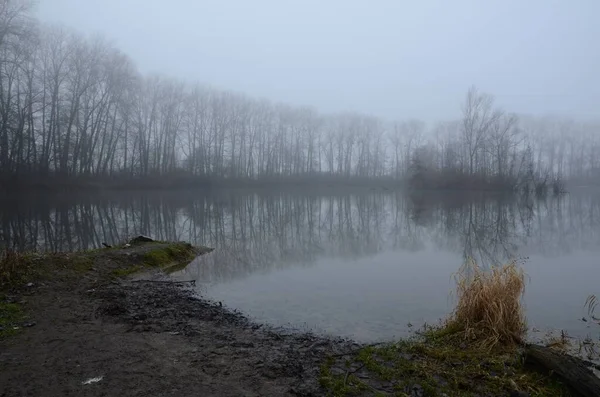 Plan Vertical Lac Effrayant Brumeux Entouré Arbres Idéal Pour Les — Photo