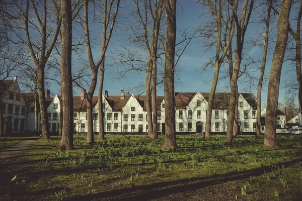 Una Hermosa Vista Los Almshouses Través Árboles Brujas Bélgica —  Fotos de Stock