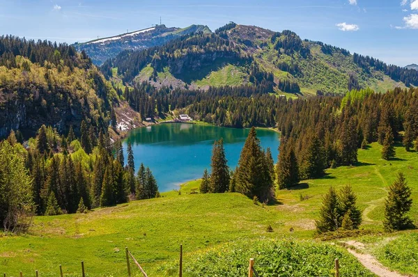 Lago Lac Des Chavonnes Svizzera Circondato Montagne Alberi — Foto Stock