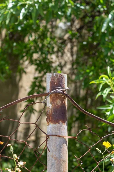 Μια Κάθετη Επιλεκτική Λήψη Του Σκουριασμένου Συρμάτινου Φράχτη Στον Κήπο — Φωτογραφία Αρχείου