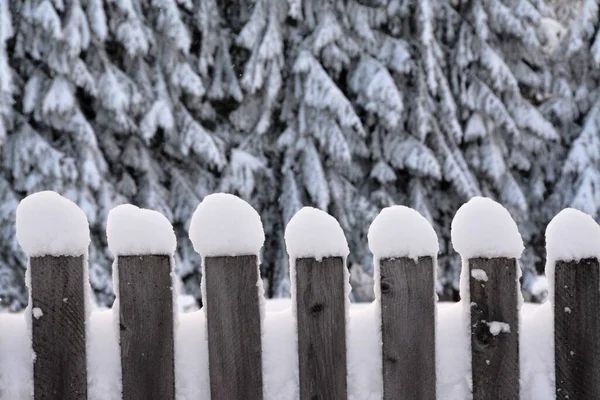 Ξύλινοι Φράχτες Καλυμμένοι Χιόνι Μπροστά Στα Όμορφα Χιονισμένα Δέντρα — Φωτογραφία Αρχείου