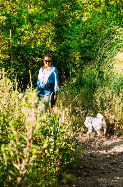 Μια Γυναίκα Που Περπατάει Ένα Σκύλο Ένα Πάρκο Πολλά Όμορφα — Φωτογραφία Αρχείου