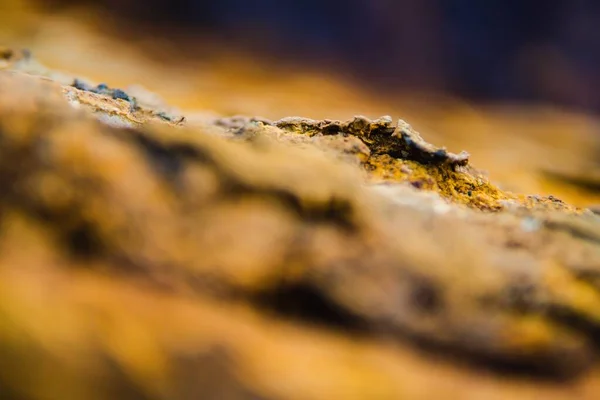 Een Selectieve Focus Shot Van Rots Rio Tinto Mijnpark Spanje — Stockfoto