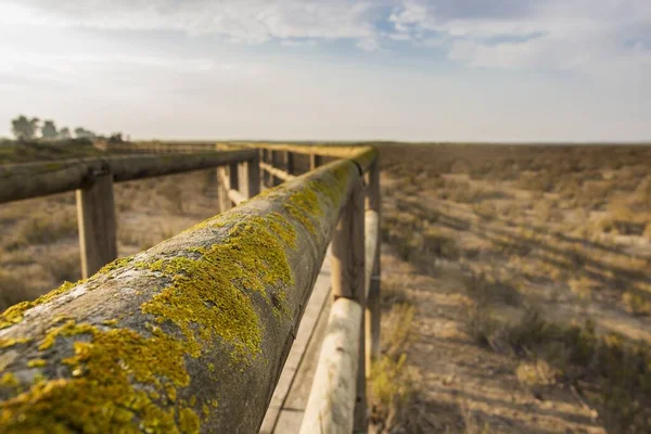 Old Wooden Fence Covered Moss Field — Stock Photo, Image