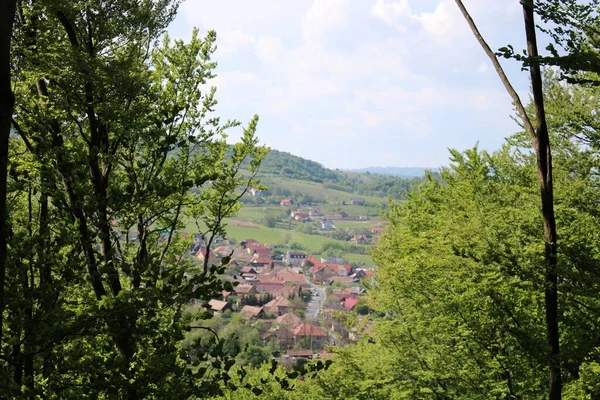 Krásný Záběr Město Sovata Stromy Popředí — Stock fotografie