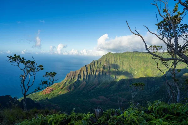Hög Vinkel Bild Den Vackra Kalalau Valley Med Planteringar Kauai — Stockfoto