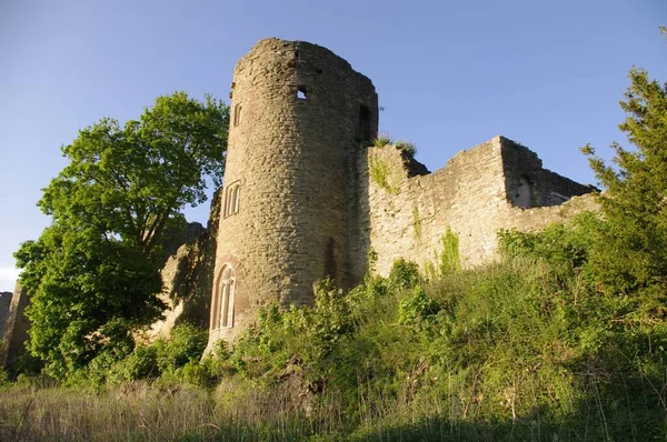 Whitcliffe Common Nature Reserve Ludlow — стокове фото