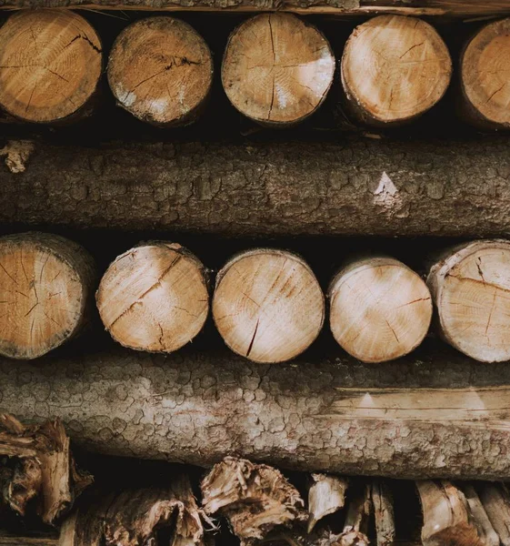 茶色の丸い木の丸太のクローズアップ — ストック写真