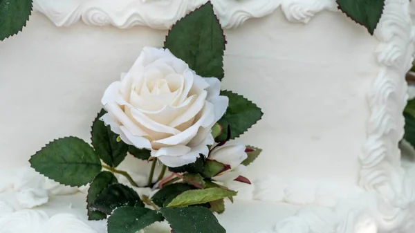 Closeup Shot White Rose Green Leaves Cake White Cream — Stock Photo, Image